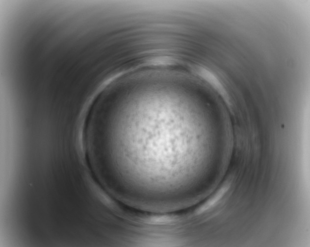X0000088650843200706011219