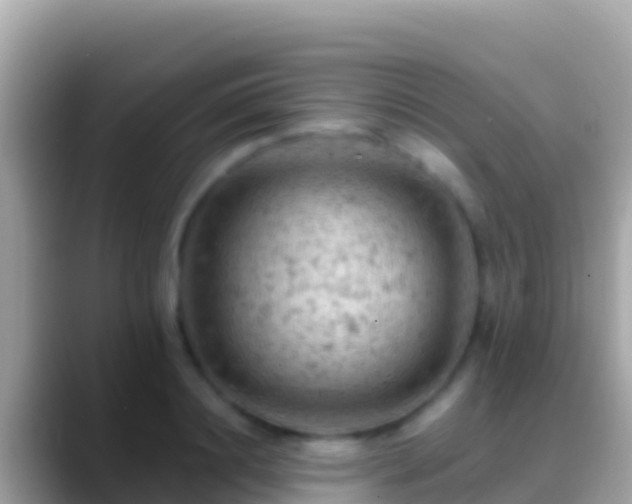 X0000088650844200706011219