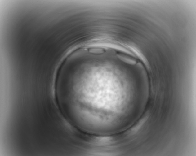 X0000088650845200706011219