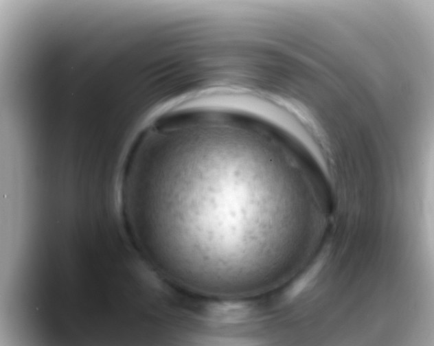 X0000088650846200706011219