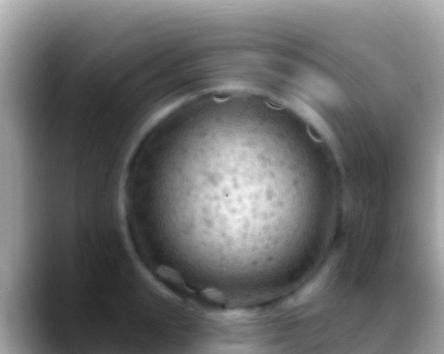 X0000088650847200706011220