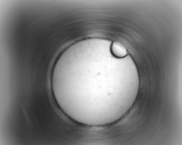 X0000088650848200706011220