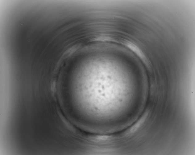 X0000088650849200706011220