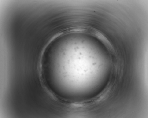 X0000088650852200706011220