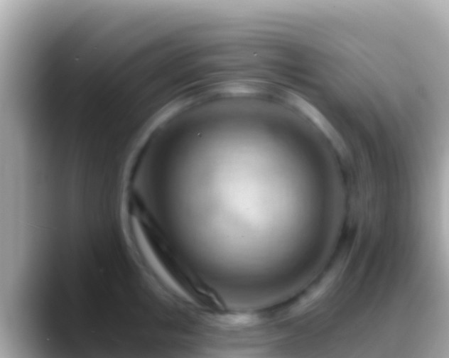 X0000088650853200706011220