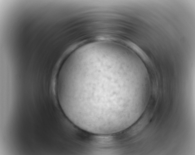 X0000088650856200706011220