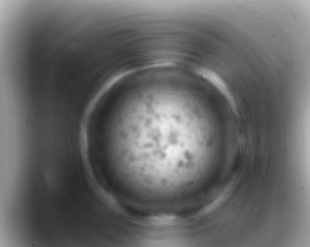 X0000088650859200706011220