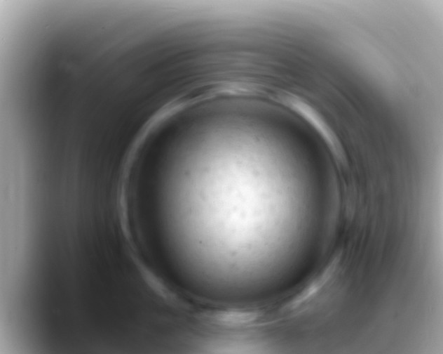 X0000088650861200706011220