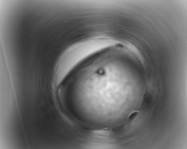 X0000088650863200706011220