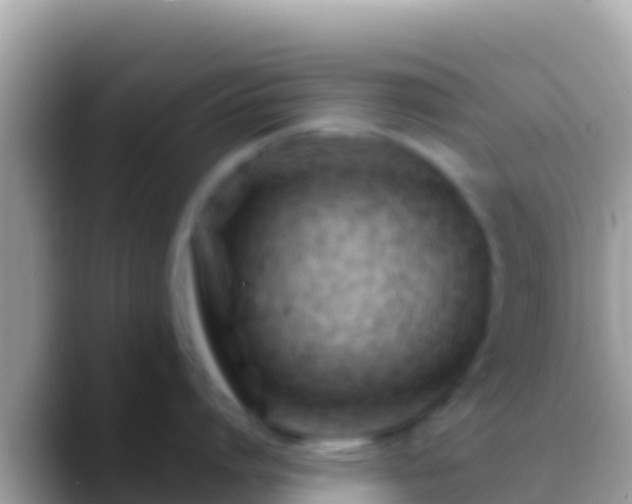 X0000088650864200706011220