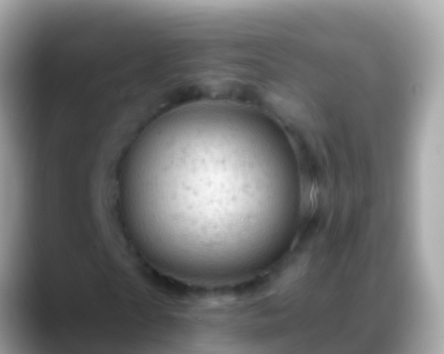 X0000088650865200706011219