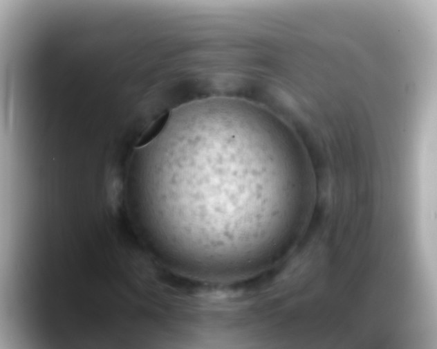 X0000088650866200706011219