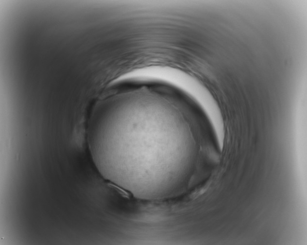 X0000088650868200706011219