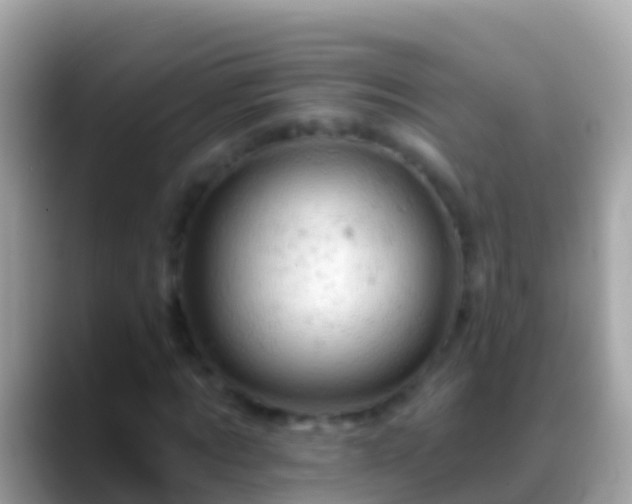 X0000088650869200706011219