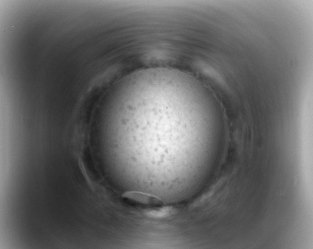 X0000088650870200706011219