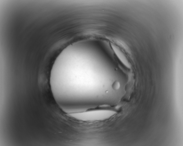 X0000088650872200706011219