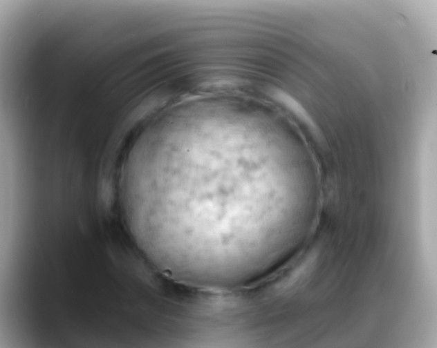 X0000088650874200706011219