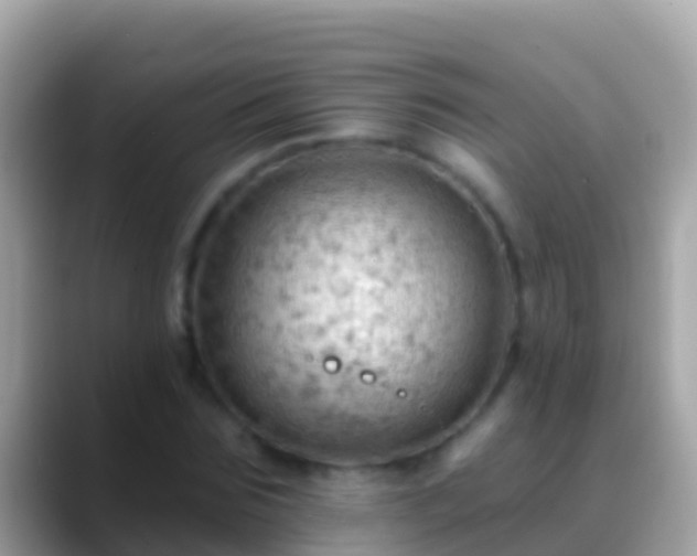 X0000088650875200706011219