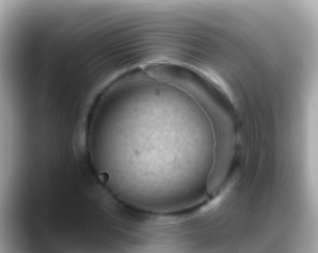 X0000088650877200706011219