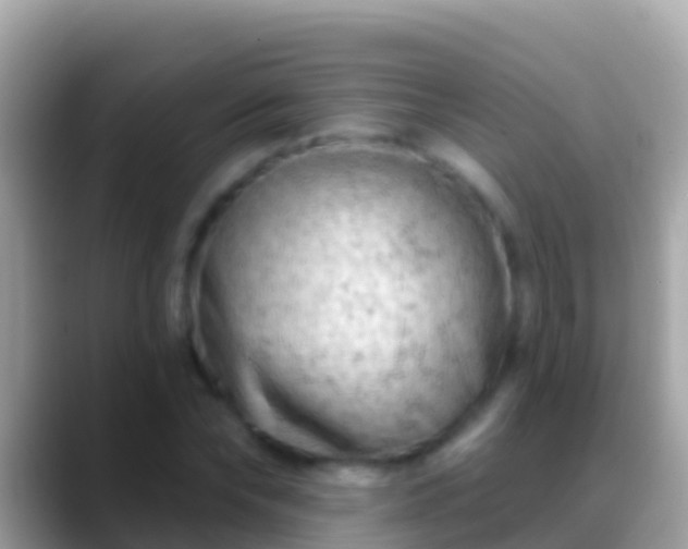 X0000088650878200706011219