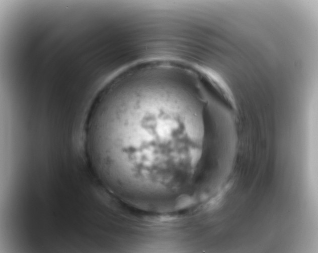 X0000088650879200706011219