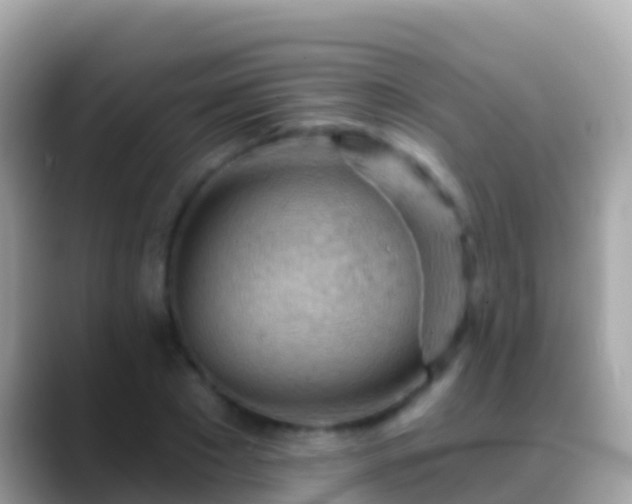 X0000088650881200706011219