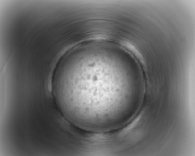 X0000088650883200706011219