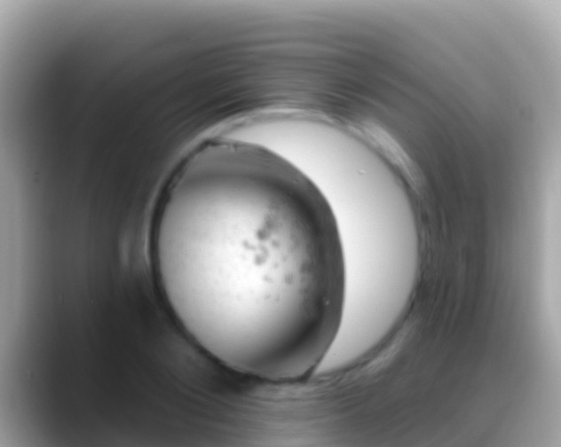 X0000088650884200706011219