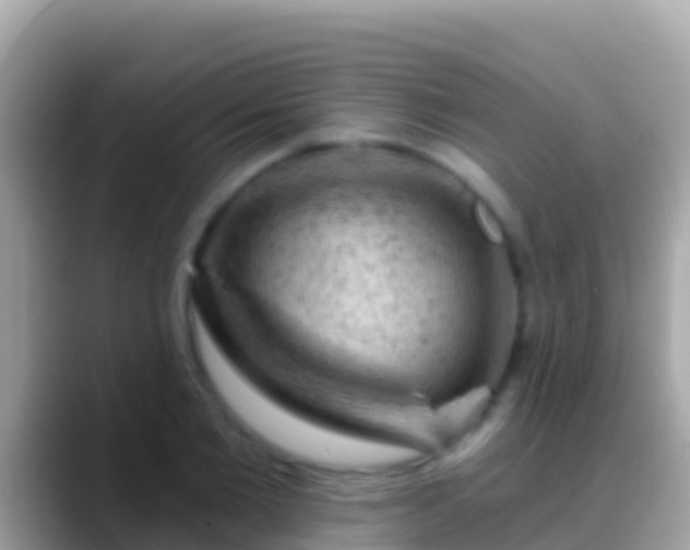 X0000088650885200706011219