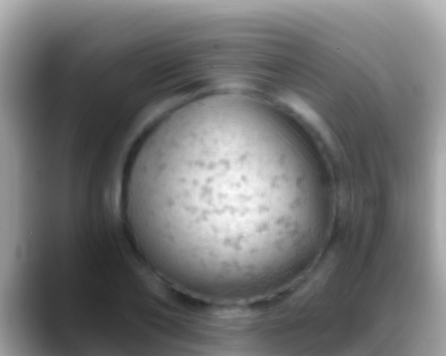 X0000088650886200706011219
