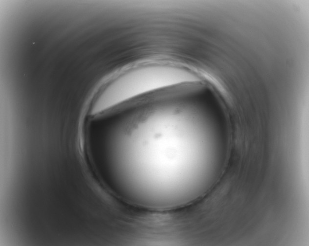 X0000088650888200706011219