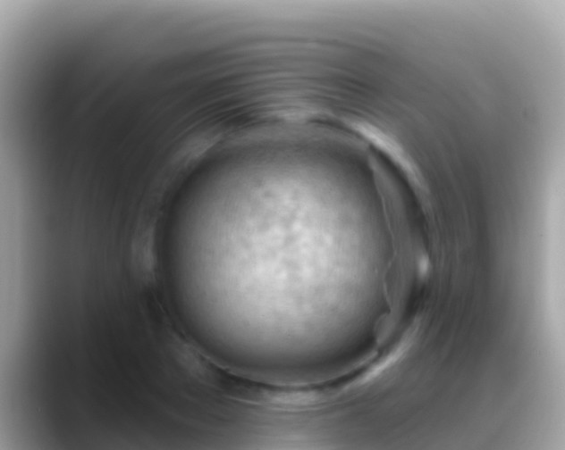 X0000088650889200706011219