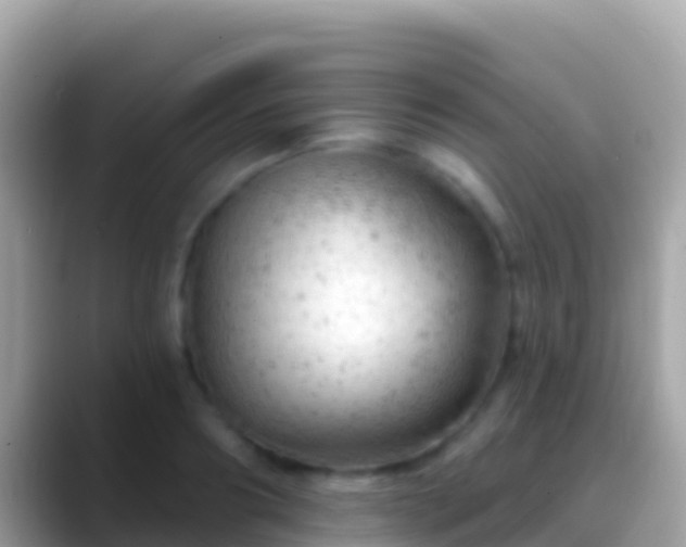 X0000088650890200706011219