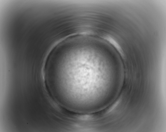 X0000088650891200706011219