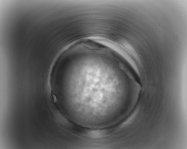 X0000088650892200706011219