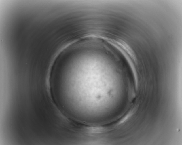 X0000088650893200706011219