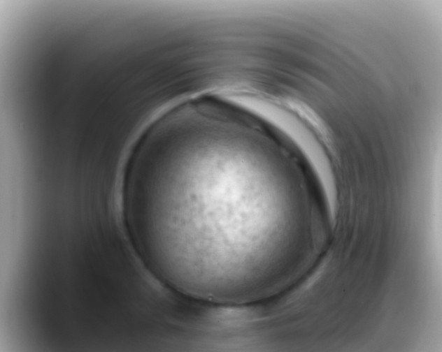 X0000088650894200706011219