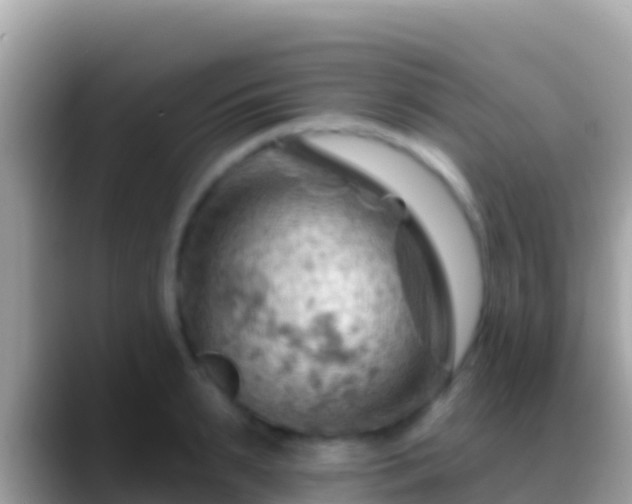 X0000088650895200706011219