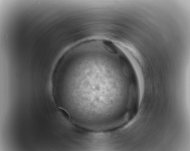X0000088650896200706011219