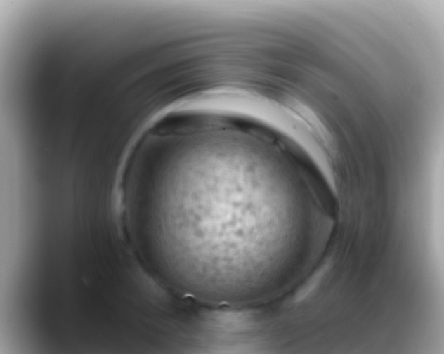 X0000088650900200706011219