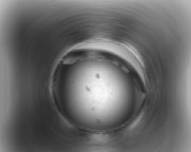 X0000088650901200706011219