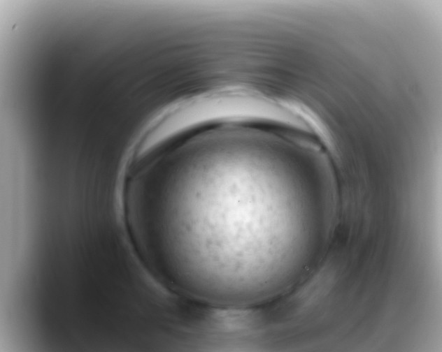 X0000088650902200706011219