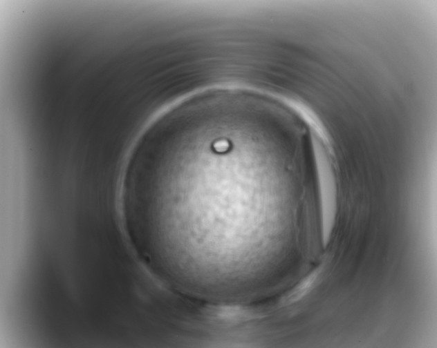 X0000088650903200706011219