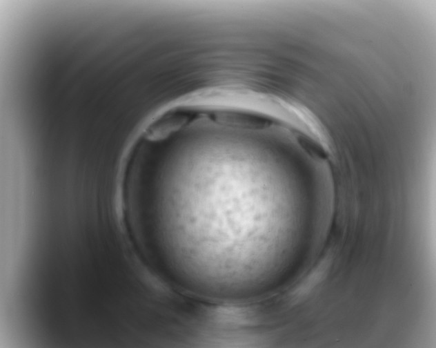 X0000088650904200706011219