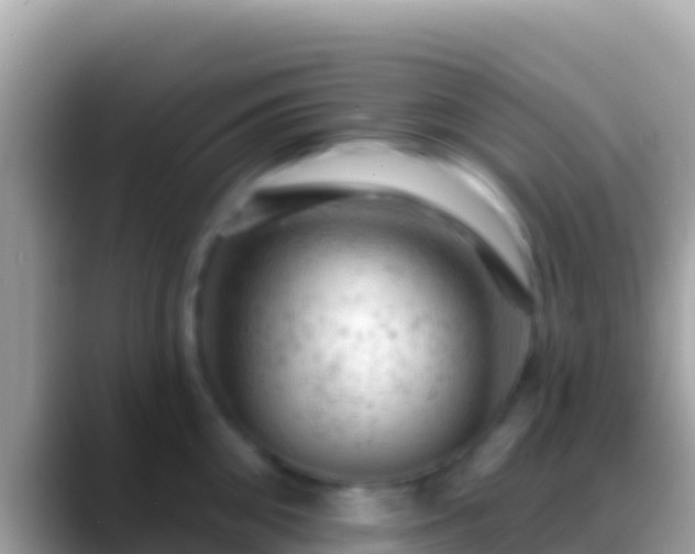 X0000088650906200706011219