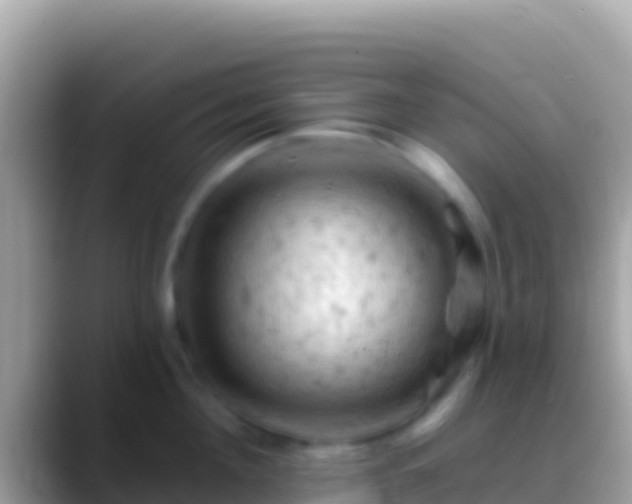 X0000088650908200706011219
