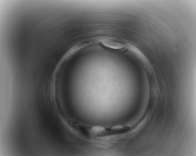 X0000088650910200706011219