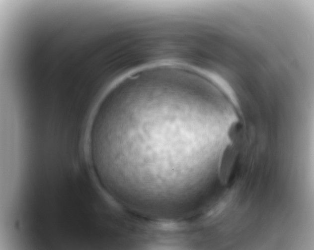 X0000088650911200706011219