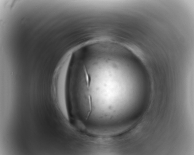 X0000088650912200706011219