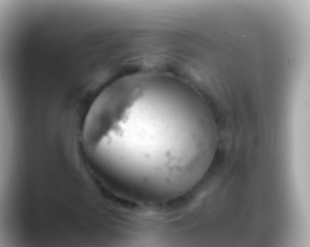 X0000088650913200706011218